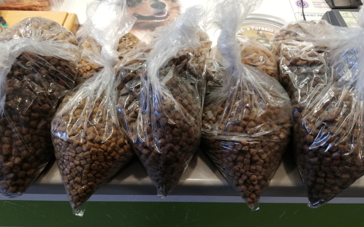 Zbiórka Karma bytowa dla kotów - zdjęcie główne