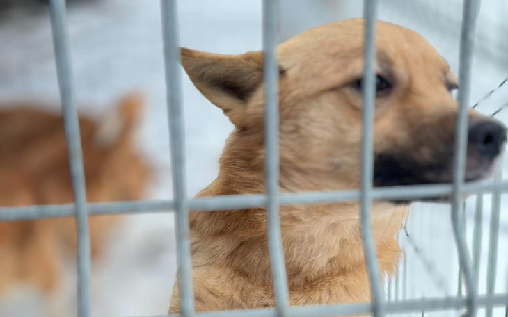 Zbiórka Zimno mi ... proszę - zdjęcie główne