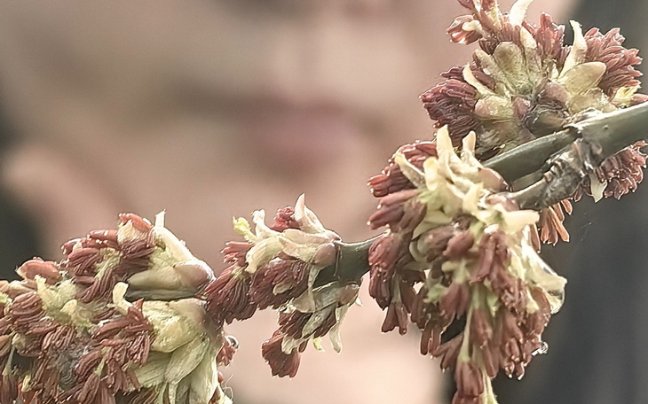 Zbiórka Nasz spokojny dom - zdjęcie główne