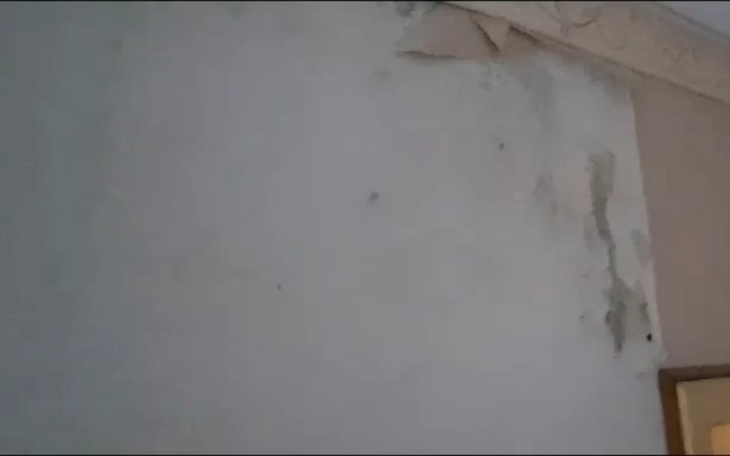 Zbiórka Remont mieszkania zalanego - zdjęcie główne