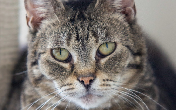 Zbiórka Mruczarnia wrzesień - zdjęcie główne