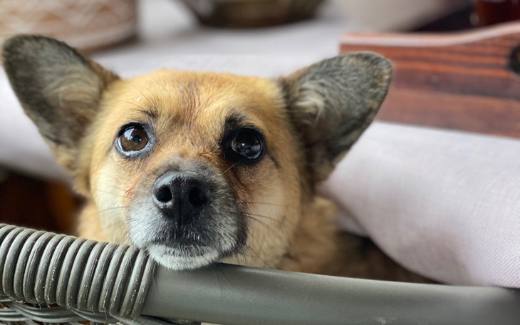 Zbiórka Faktura na pomoc ZACISZAKOM - zdjęcie główne