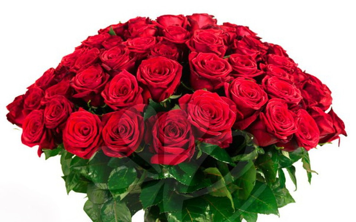 Zbiórka Zbieram na 200 czerwonych róż - zdjęcie główne