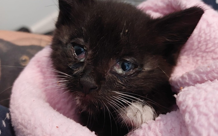 Zbiórka Na dobry start dla Bubusia - zdjęcie główne
