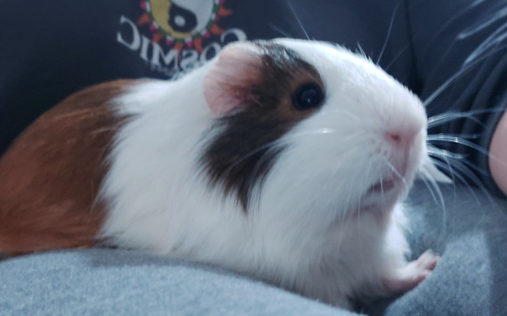 Zbiórka Ed i Freddie - zdjęcie główne