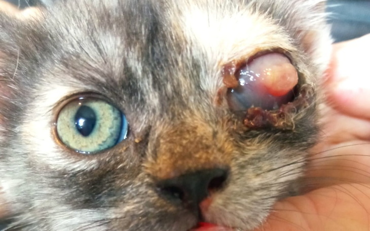 Zbiórka Spójrz im w oczy - zdjęcie główne