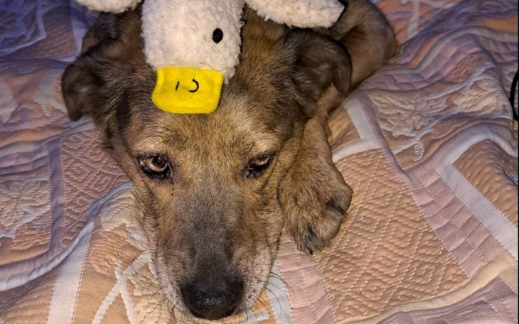 Zbiórka Na kire - zdjęcie główne