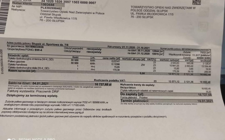 Zbiórka Pomórzmy naszym czteronożnym - zdjęcie główne