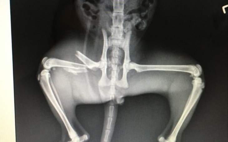 Zbiórka Poskładajmy Łatka... - zdjęcie główne