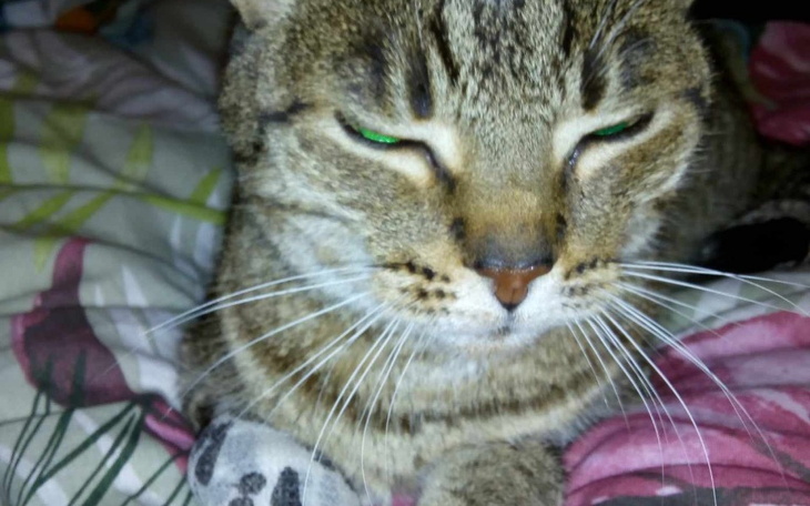 Zbiórka Choroba odbiera nam życie . - zdjęcie główne