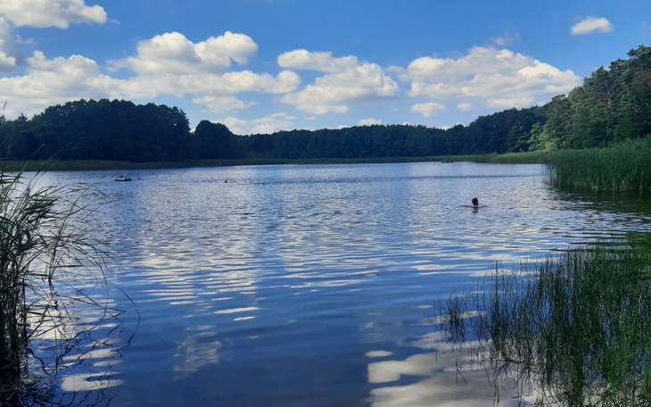 Zbiórka Na kolonie dla FAJNYCH dzieci - zdjęcie główne