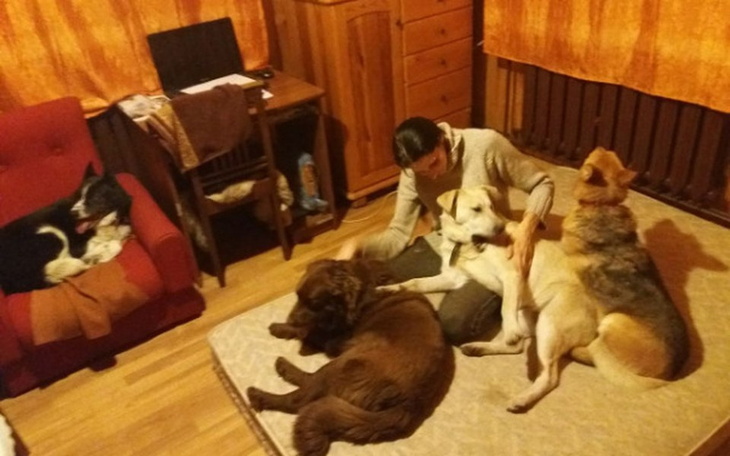 Zbiórka Dla zwierzaków Ani W. z Turowa - zdjęcie główne