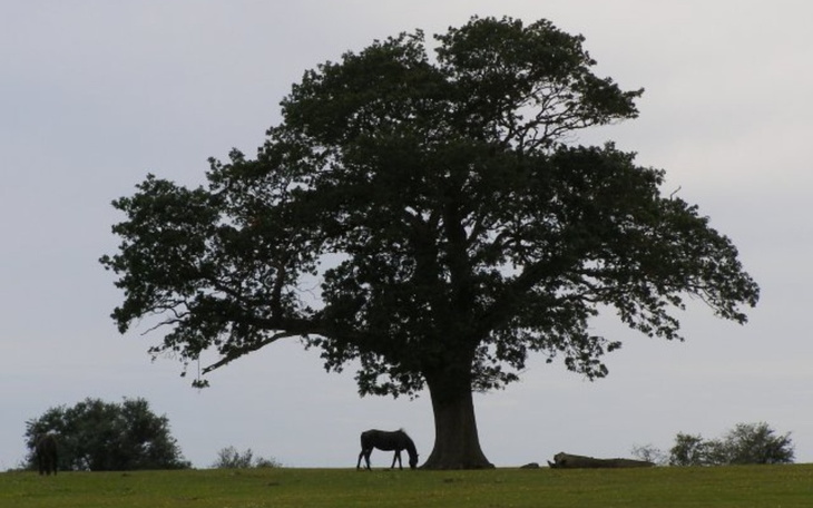 Zbiórka acab123 - zdjęcie główne
