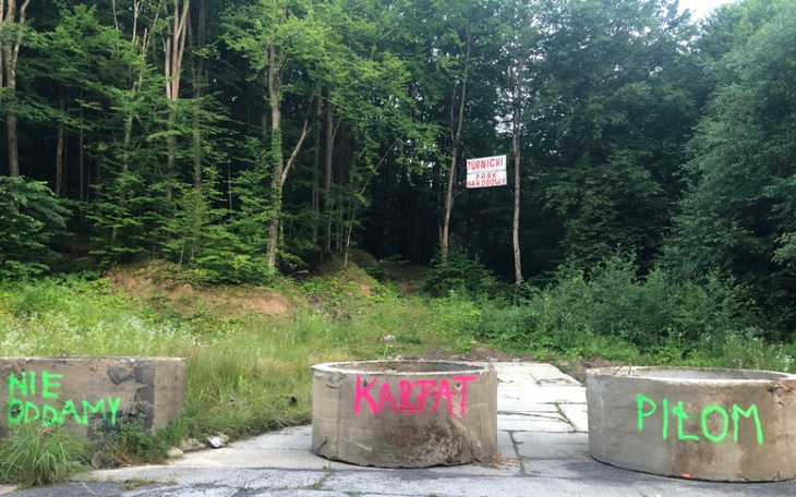 Zbiórka chrońmy las i ludzką solidarność - zdjęcie główne