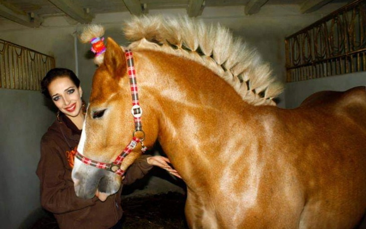 Zbiórka Koniiki, pomoc Koniom Anniu - zdjęcie główne