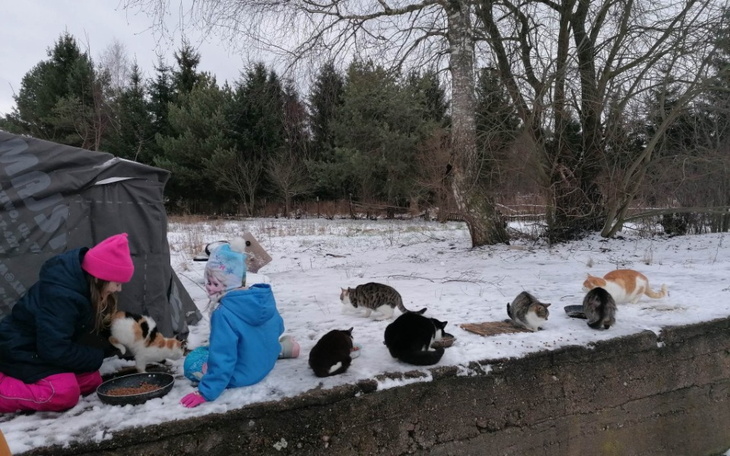 Zbiórka Sterylizacja kotek z Mazur - zdjęcie główne