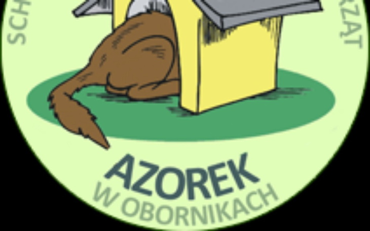 Logo schroniska dla zwierząt z psem w budzie.
