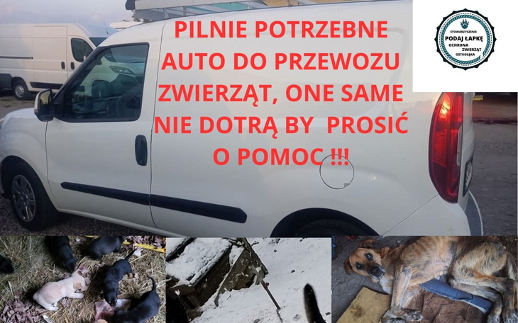 Ogłoszenie o potrzebie transportu zwierząt, z widokiem na samochód i zwierzęta.