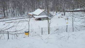 Zbiórka Dom dla uratowanych osłów i kóz - miniaturka zdjęcia