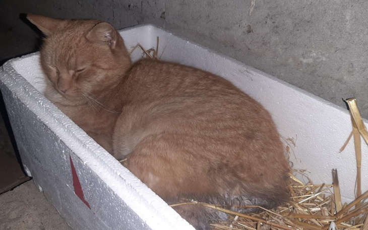 Zbiórka PaliwoNaDrogeDlaRudzia - zdjęcie główne