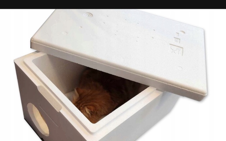 Zbiórka Budki dla kota kocyki na zimę - zdjęcie główne