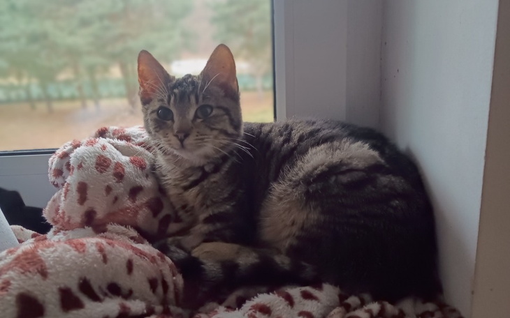 Zbiórka Kończy sie nam WSZYSTKO... - zdjęcie główne