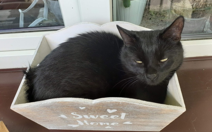 Zbiórka Szansa dla Prady - zdjęcie główne