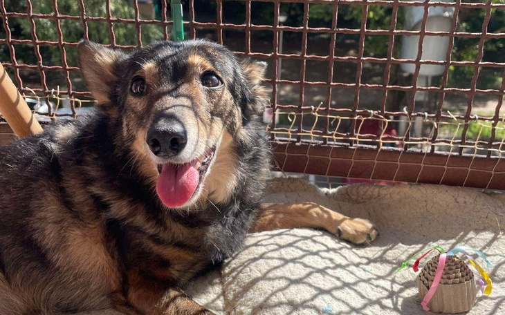 Zbiórka Tomograf komputerowy dla Dziadka - zdjęcie główne