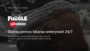 Zbiórka Apka, która łączy z weterynarzem - miniaturka zdjęcia