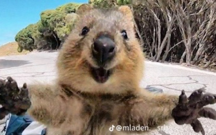 Zbiórka Na komputer ciuszki i buty - zdjęcie główne