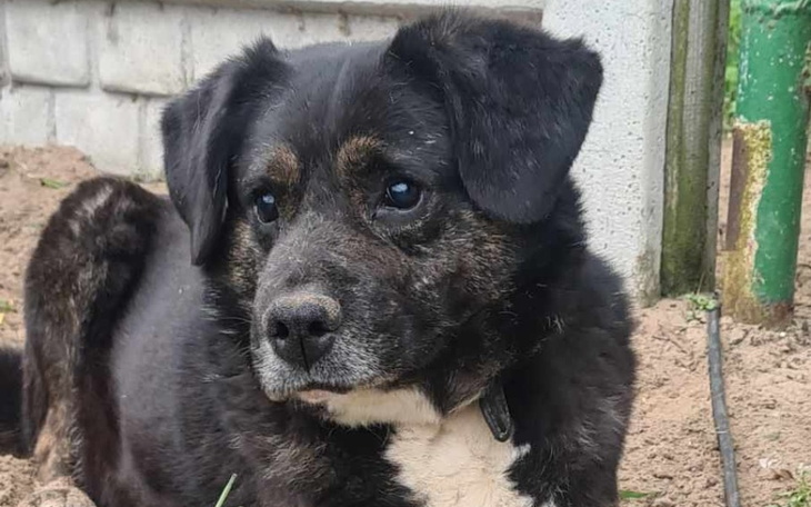 Zbiórka Wciąż trwamy ... - zdjęcie główne