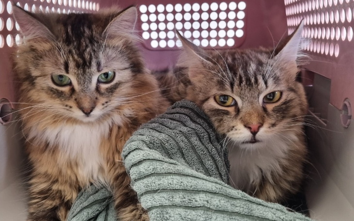 Zbiórka Podaruj nam ŻYCIE - zdjęcie główne