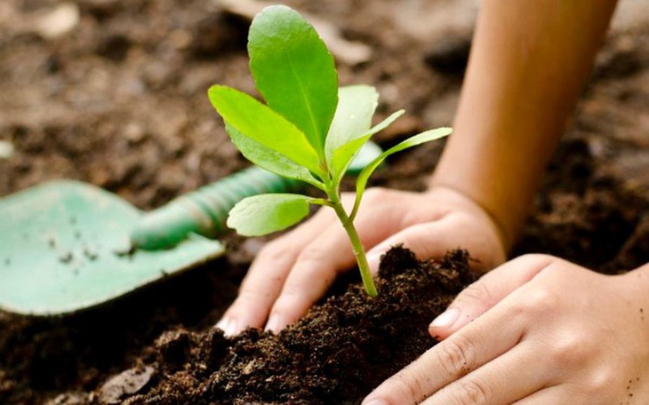 Zbiórka Wysiejmy im przyszłość ! - zdjęcie główne