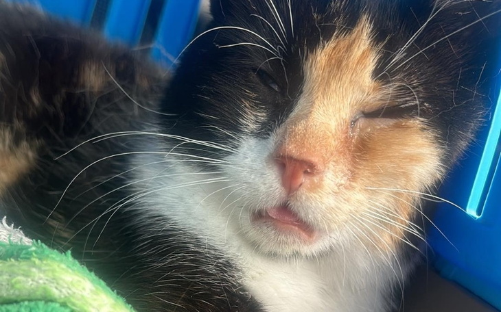 Zbiórka Leczenie i diagnoza Balbinki - zdjęcie główne