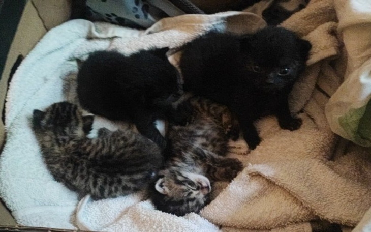 Zbiórka jak bezdusznym trzeba być... - zdjęcie główne