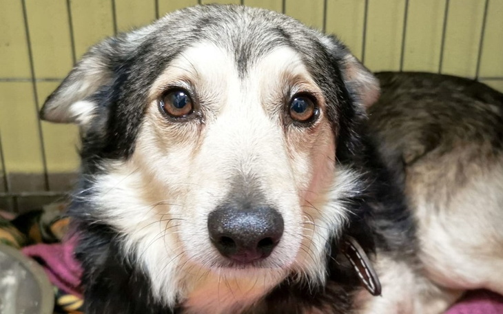 Zbiórka Zbieramy na oświetlenie - zdjęcie główne