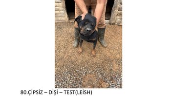 Zbiórka Turcja-2 tygodnie potem umra - miniaturka zdjęcia