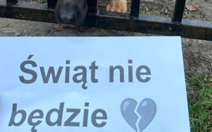 Pies z napisem: 'Świat nie będzie'.