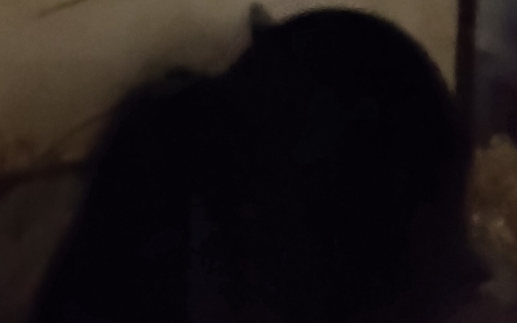 Zbiórka Pilnie pomoz chomikowi Tobiemu - zdjęcie główne