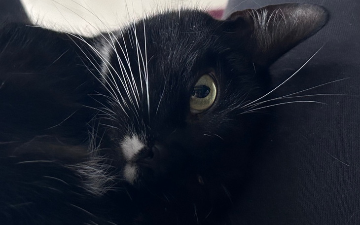 Zbiórka Pomóż mi w ciężkiej sytuacji.. - zdjęcie główne