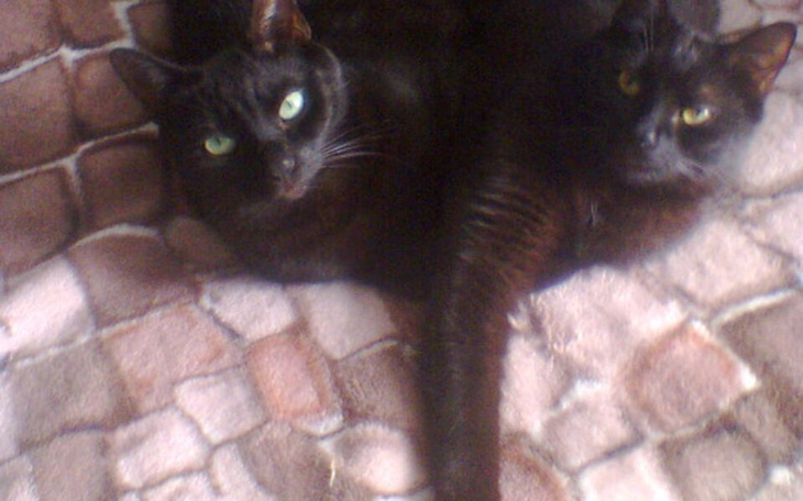 Zbiórka Nowe życie dla nas - zdjęcie główne