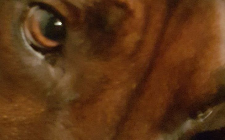 Zbiórka Problemy rodzinbe - zdjęcie główne