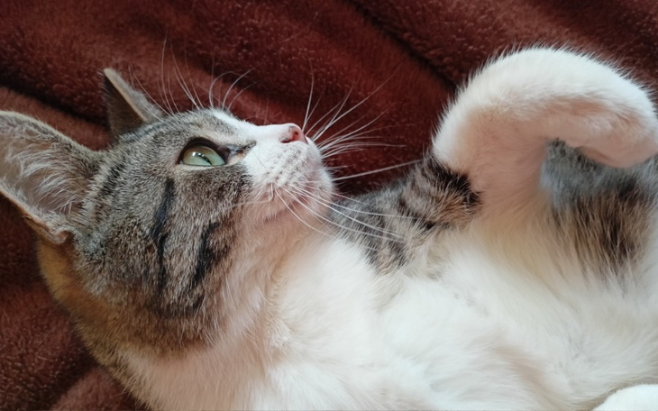 Zbiórka Mam całe życie przed sobą - zdjęcie główne