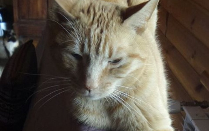 Zbiórka Wyrzucony jak śmieć/ Pomóz - zdjęcie główne