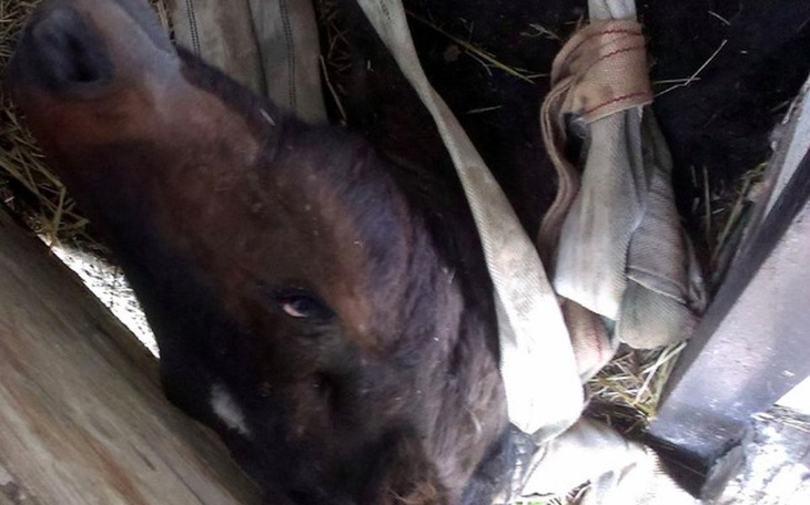 Zbiórka NIE !   Dla Skaryszewa - zdjęcie główne