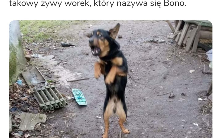 Zbiórka Cierpię potrzebuje twojej pomocy - zdjęcie główne