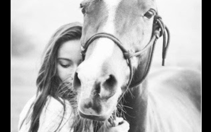 Zbiórka Leczenie ortopedyczne nogi konia - zdjęcie główne