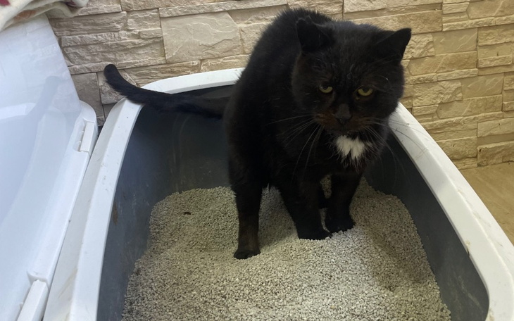 Zbiórka Żeby było czym zakopać - zdjęcie główne