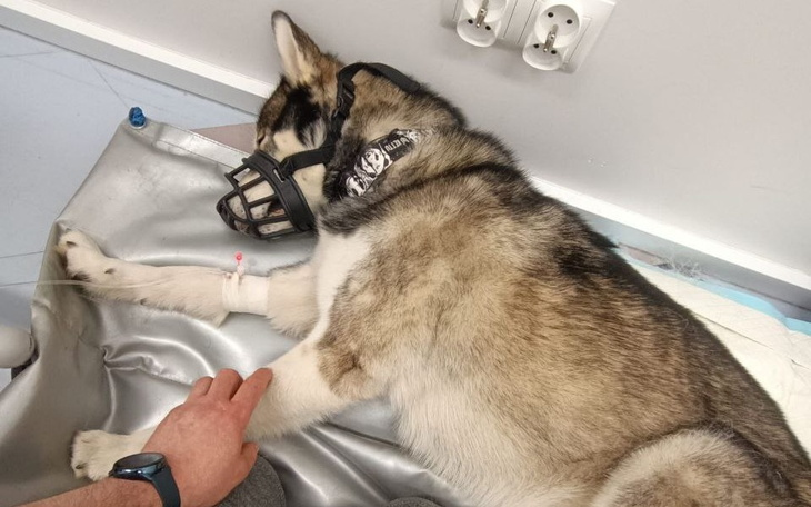 Zbiórka Floczkowe testy - zdjęcie główne