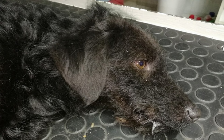 Zbiórka Czy pomoc nadeszła za późno? - zdjęcie główne